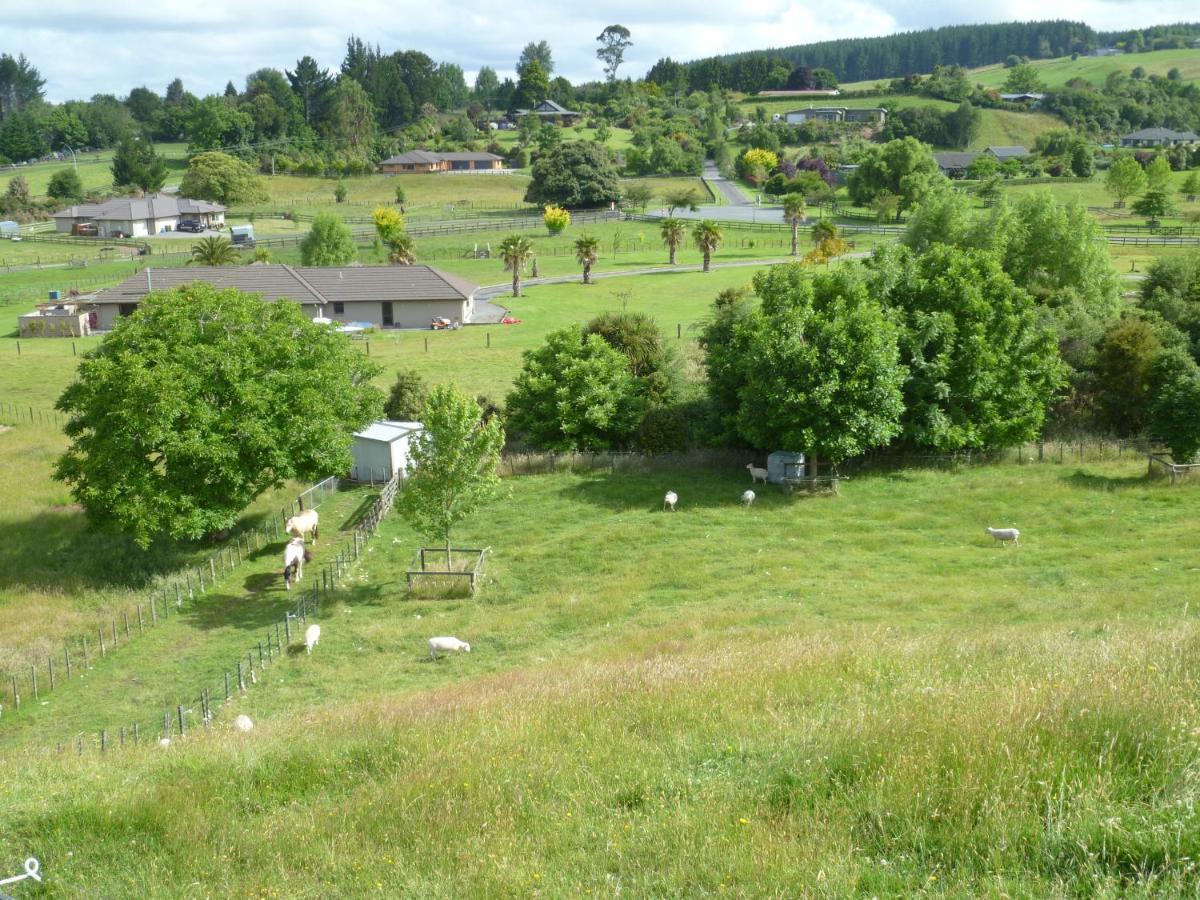 Bellarosa B&B Rotorua Zewnętrze zdjęcie
